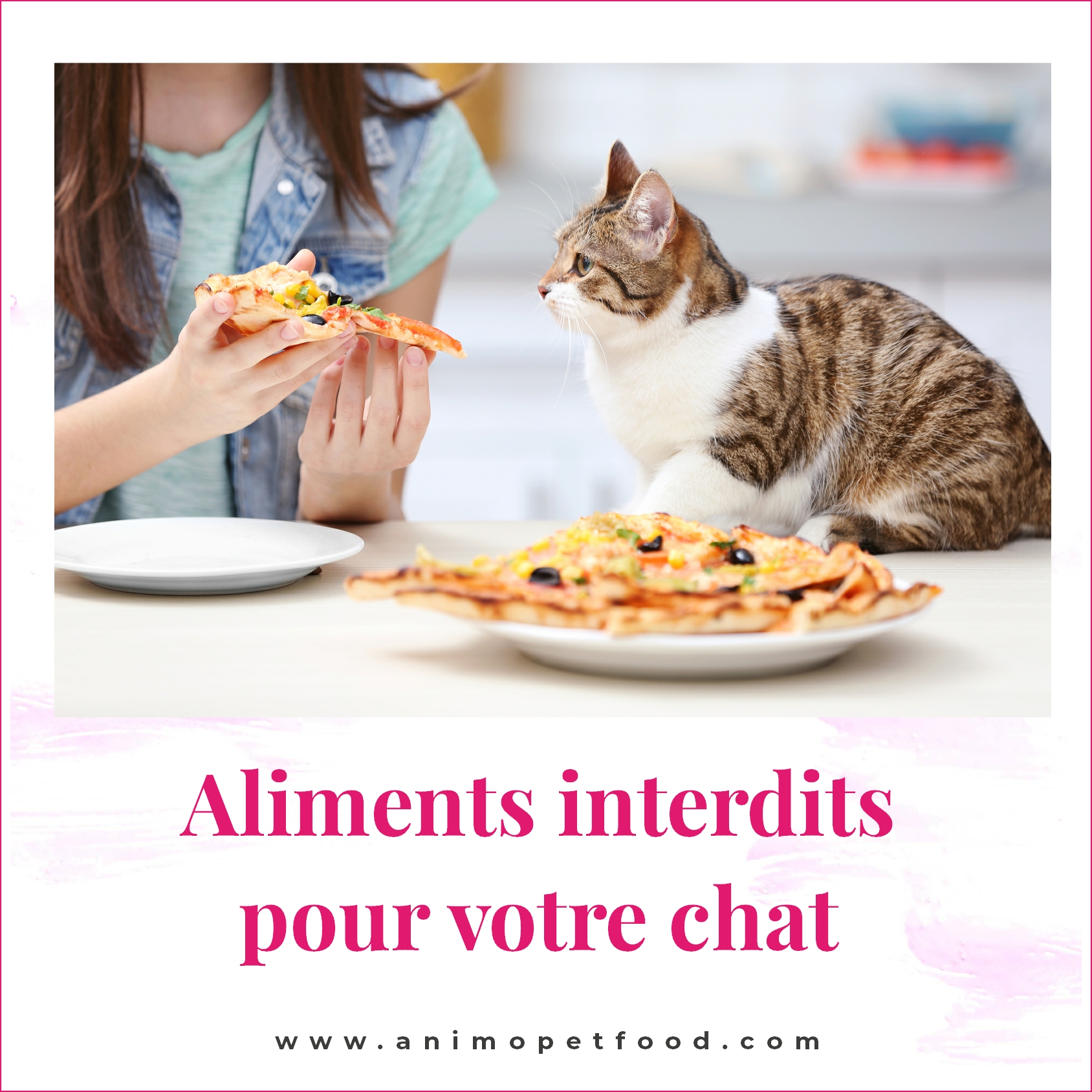 Aliments pour humain que votre chat ne devrait pas manger